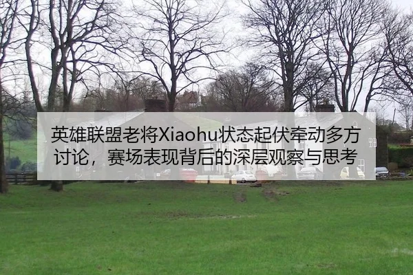 英雄联盟老将Xiaohu状态起伏牵动多方讨论，赛场表现背后的深层观察与思考